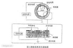 影響臭氧發(fā)生的主要因素有哪些？