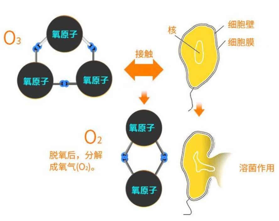 臭氧熏蒸消毒滅菌法